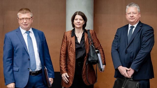 Thomas Haldenwang (v. Thomas Haldenwang (v.