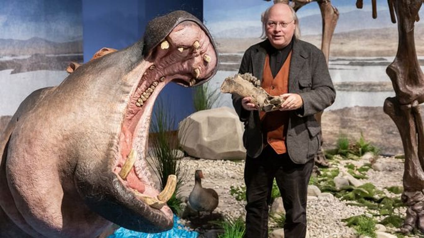 Wilfried Rosendahl, Generaldirektor Reiss-Engelhorn-Museen, neben der lebensechten Rekonstruktion eines Flusspferdes in der Ausstellung "Eiszeit-Safari".