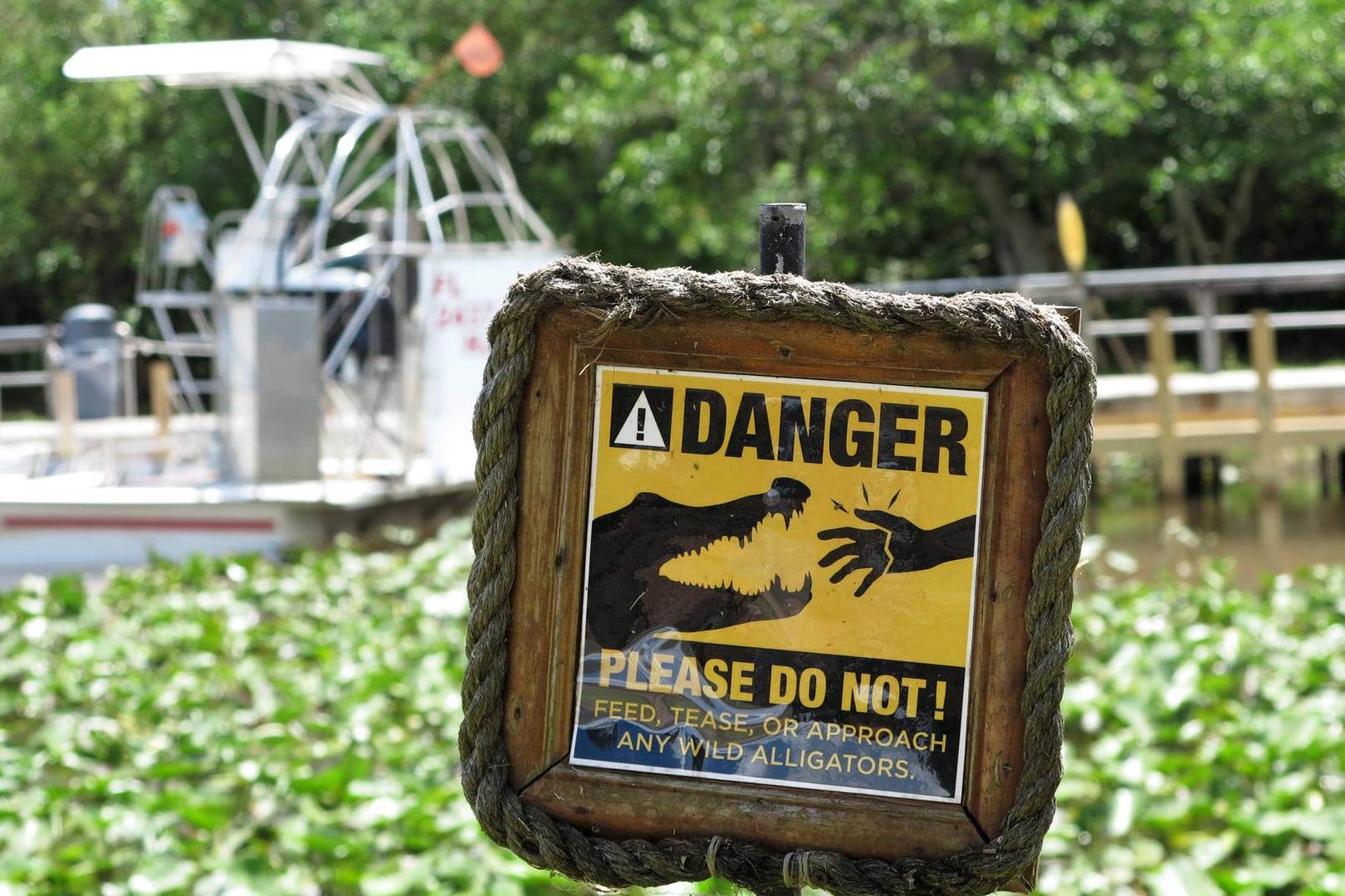 warnschild,alligator,everglades-nationalpark,schild,schilder,warnen,warnhinweis,warnhinweise,warnschilder,warnung,alliga