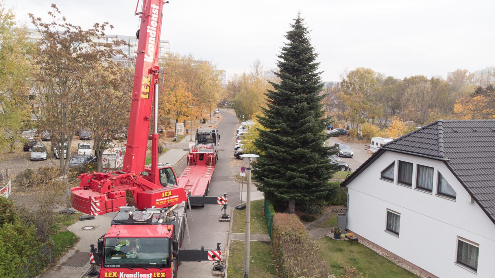 Eine Tanne, die als Weihnachtsbaum für den 38. Weihnachtsmarkt an der Gedächtniskirche auf dem Breitscheidplatz vorgesehen ist: Am Montag wurde sie in einem Marzahner Garten gefällt. Eine Tanne, die als Weihnachtsbaum für den 38. Weihnachtsmarkt an der Gedächtniskirche auf dem Breitscheidplatz vorgesehen ist: Am Montag wurde sie in einem Marzahner Garten gefällt.
