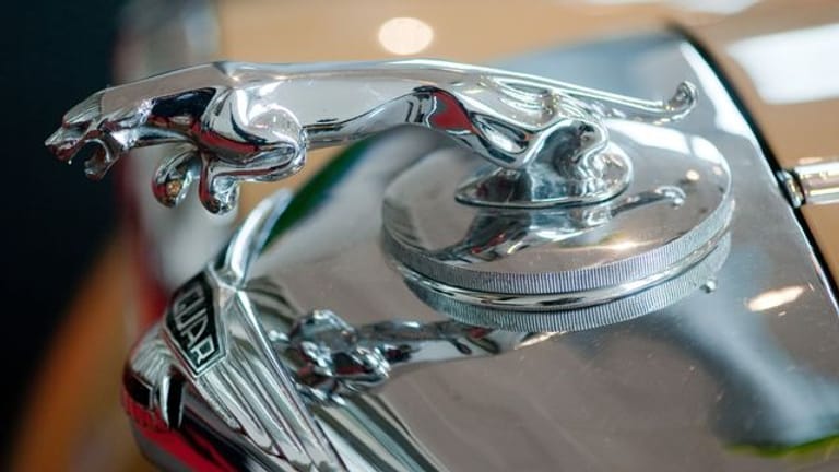 Katze auf Kühler: Richtige Figuren an der Fahrzeugfront sind heute selten, auf klassischen Autos wie diesem Jaguar aus den 1950er Jahren sieht man sie häufiger.