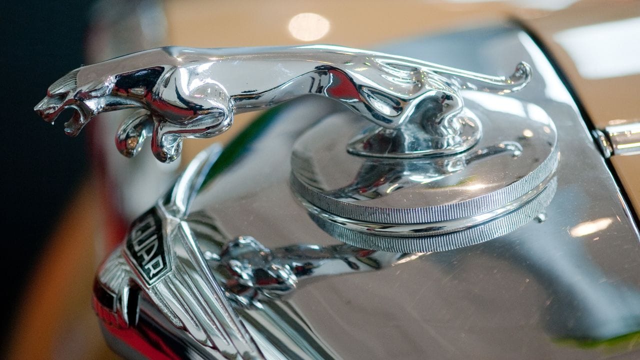 Katze auf Kühler: Richtige Figuren an der Fahrzeugfront sind heute selten, auf klassischen Autos wie diesem Jaguar aus den 1950er Jahren sieht man sie häufiger. Katze auf Kühler: Richtige Figuren an der Fahrzeugfront sind heute selten, auf klassischen Autos wie diesem Jaguar aus den 1950er Jahren sieht man sie häufiger.