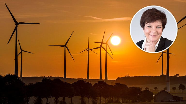 Windräder in Deutschland (Symbolbild): Mit ihren Klimaschutzplänen könnten die Grünen ein unverhofftes Wirtschaftswachstum antreiben – und damit auch eine höhere Inflation.