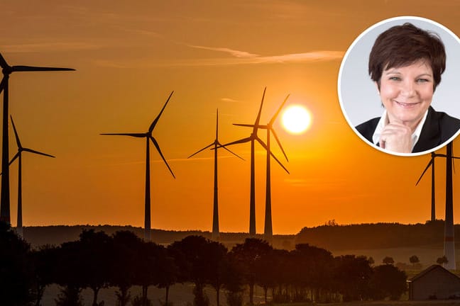 Windräder in Deutschland (Symbolbild): Mit ihren Klimaschutzplänen könnten die Grünen ein unverhofftes Wirtschaftswachstum antreiben – und damit auch eine höhere Inflation.