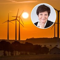 Windräder in Deutschland (Symbolbild): Mit ihren Klimaschutzplänen könnten die Grünen ein unverhofftes Wirtschaftswachstum antreiben – und damit auch eine höhere Inflation.