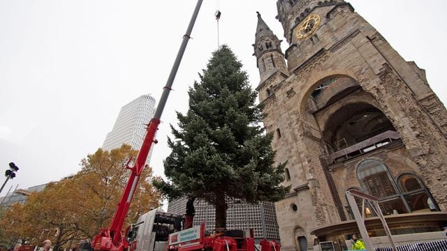 Weihnachtsbaum an der Gedächtniskirche Weihnachtsbaum an der Gedächtniskirche