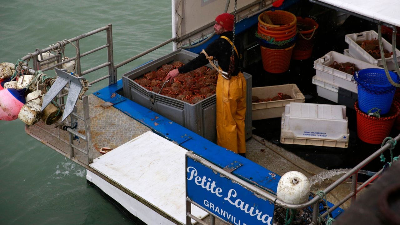 Ein Fischer entlädt Krabben von einem französischen Trawler, der aus britischen Gewässern in den Hafen von Granville in Frankreich eingefahren ist.