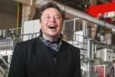 Elon Musk sorgt für Verwirrung um Hertz-Deal – Anleger unbeeindruckt