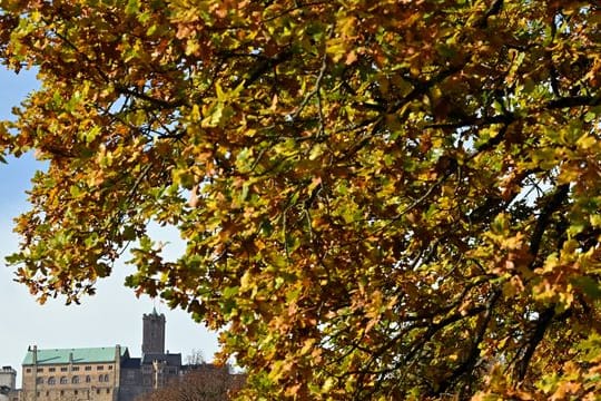 Eröffnung Themenjahr "Welt übersetzen" in Eisenach