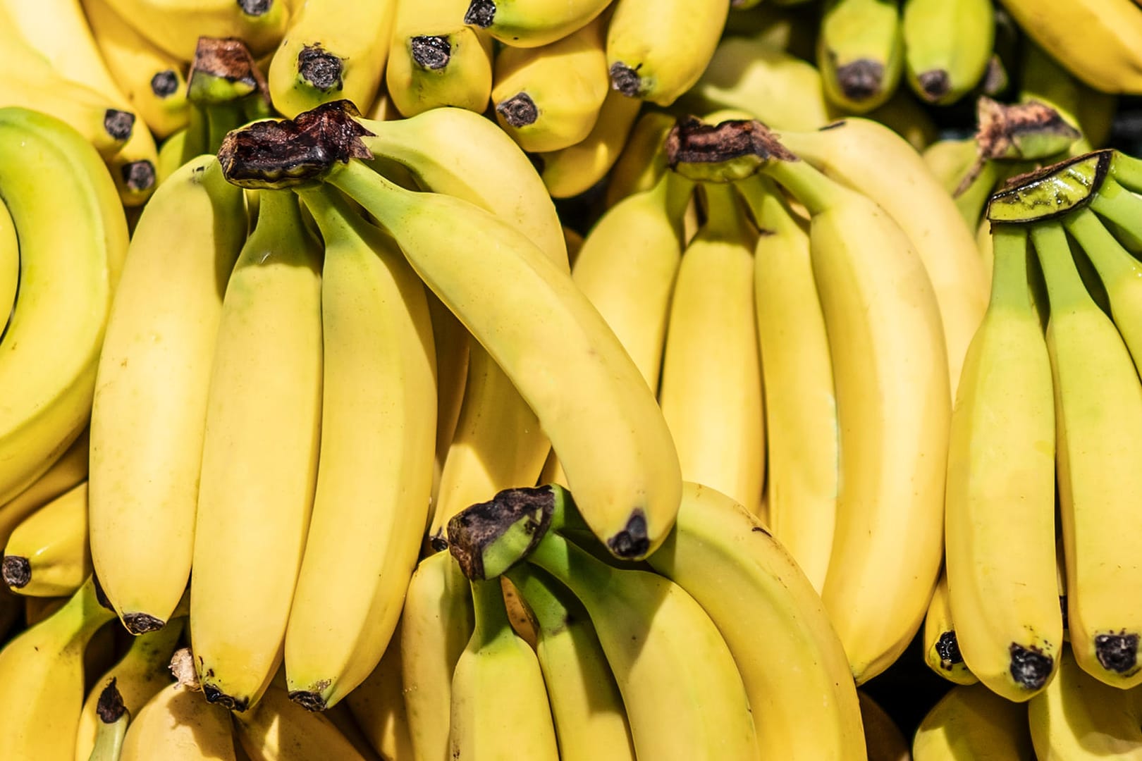 Bananen: Die Preise für Bananen unterliegen starken schwankungen.