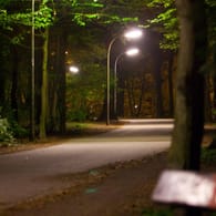 Stadtpark in Hamburg bei Nacht (Archivfoto): Im September vergangenen Jahres wurde in dem Park eine 15-Jährige vergewaltigt.