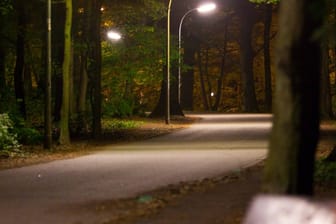 Stadtpark in Hamburg bei Nacht (Archivfoto): Im September vergangenen Jahres wurde in dem Park eine 15-Jährige vergewaltigt.