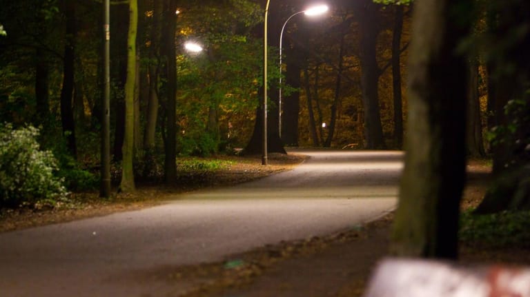 Stadtpark in Hamburg bei Nacht (Archivfoto): Im September vergangenen Jahres wurde in dem Park eine 15-Jährige vergewaltigt.
