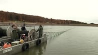 Stadt lässt See komplett leer fischen