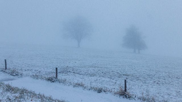 Schnee den Höhenlagen des Schwarzwaldes