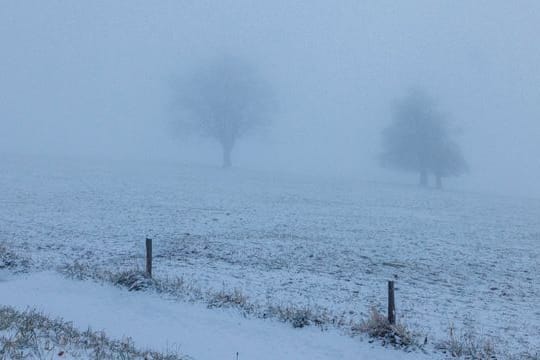 Schnee den Höhenlagen des Schwarzwaldes