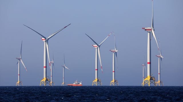 Iberdrola plant ersten Ostsee-Windpark ohne Förderung