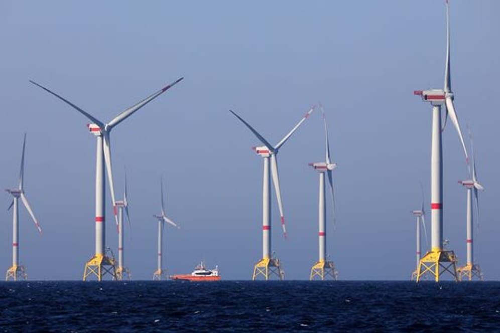 Iberdrola plant ersten Ostsee-Windpark ohne Förderung