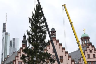 Frankfurt stellt den Weihnachtsbaum auf: Nutzer witzeln über das Aussehen des Baumes.