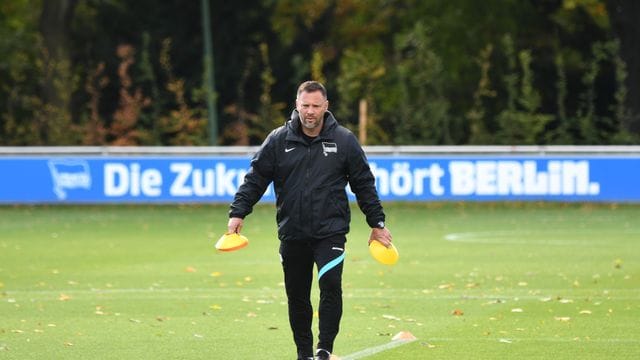 Pal Dardai