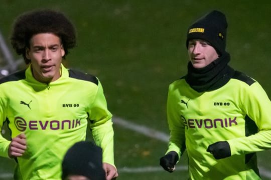 Axel Witsel