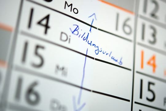 Bildungsurlaub wird in Brandenburg digitaler