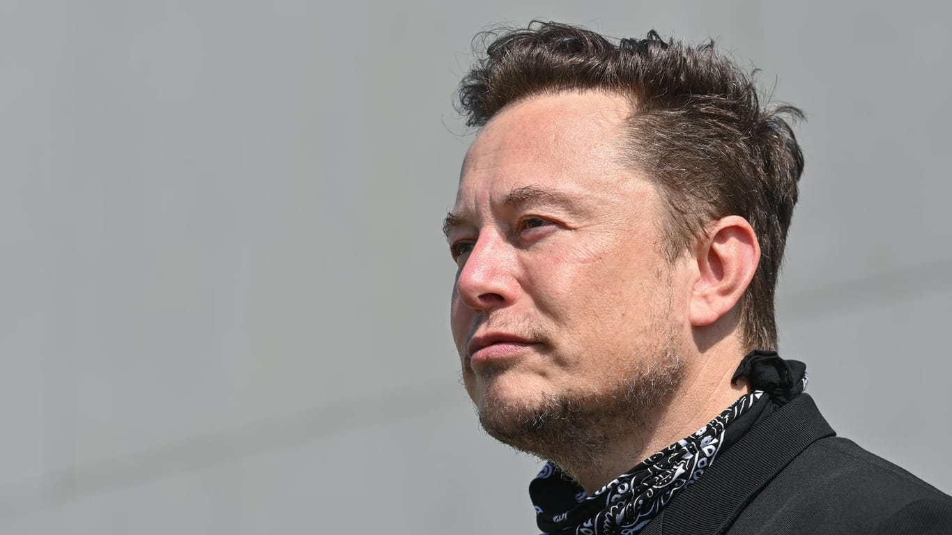 Elon Musk: Der Tesla-Chef hat seinen Fans auf Twitter ein Angebot gemacht.