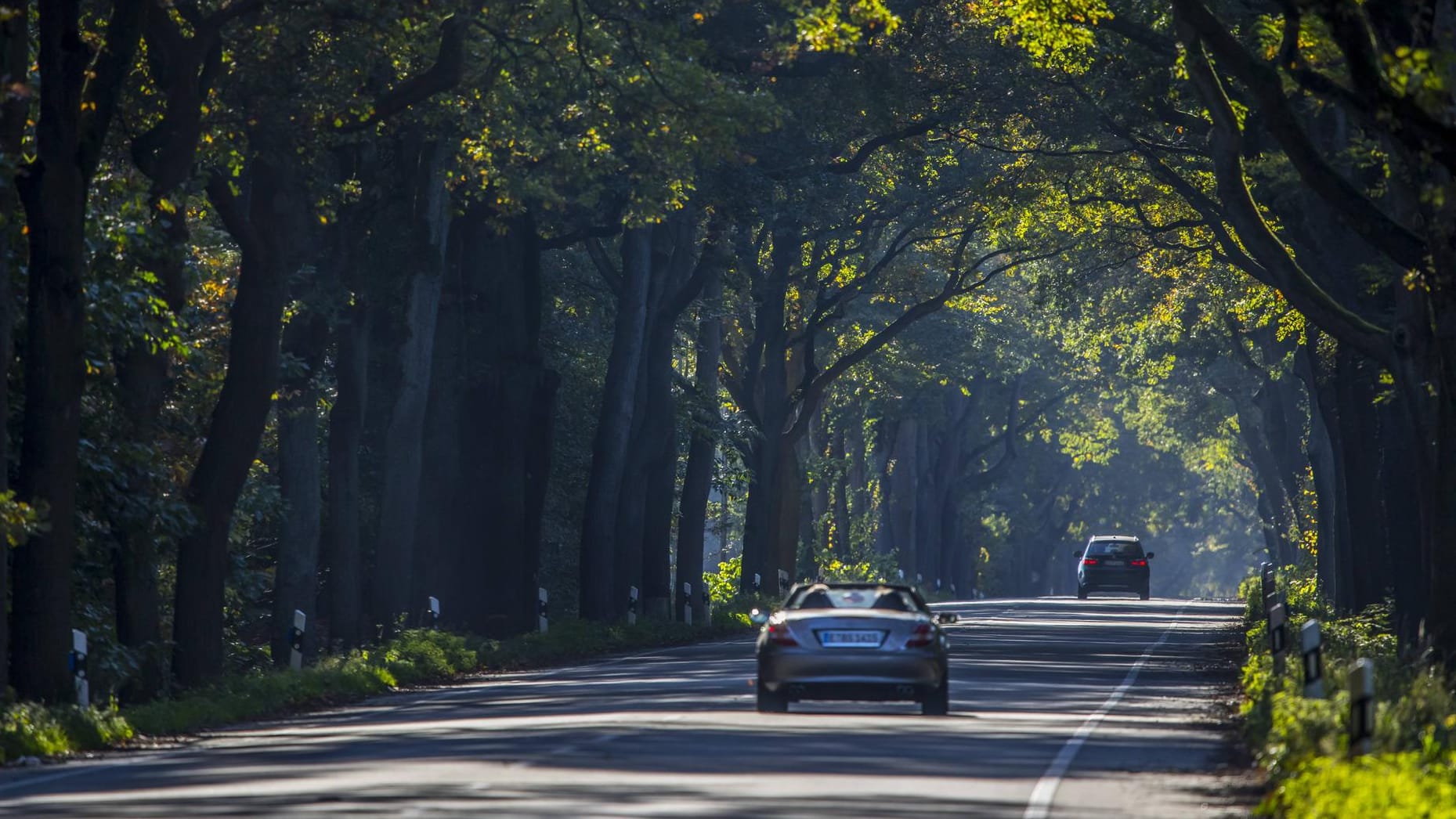 Die B88 zwischen Wulfen und Schermbeck im Westmünsterland (Archivbild): Hier ist es vermehrt zu Rissen durch Wölfe gekommen.