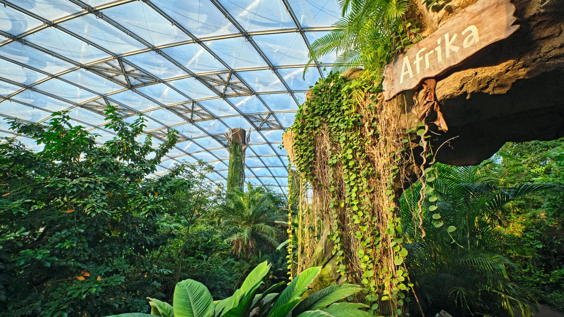 Die Tropenwelt Gondwanaland (Archivbild): Bis auf weiteres wurde Halle für den Publikumsverkehr gesperrt.