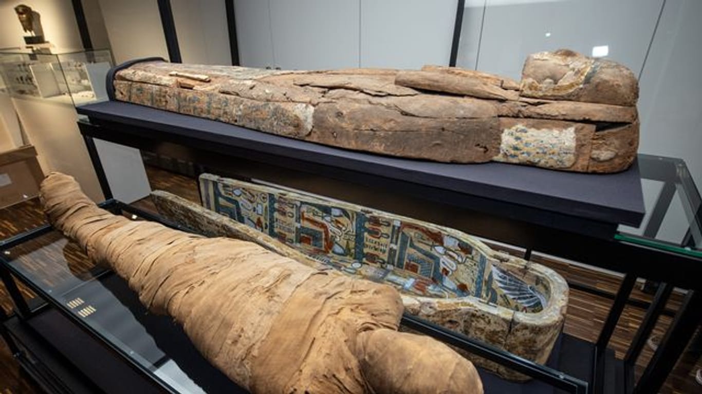 "Münster-Mumie" ist zurück im Archäologiemuseum