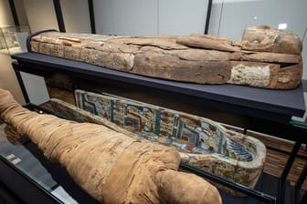 "Münster-Mumie" ist zurück im Archäologiemuseum