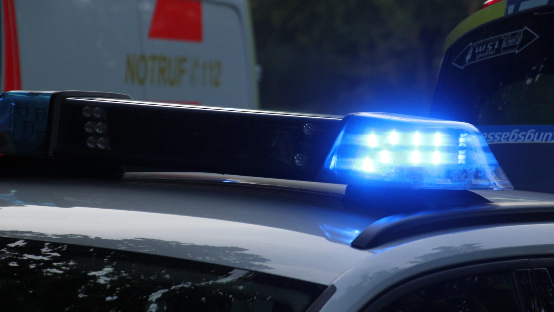 Blaulicht auf einem Polizei-Fahrzeug (Symbolbild): Die Beamten rückten mit 13 Streifenwagen zu einem Einsatz an.