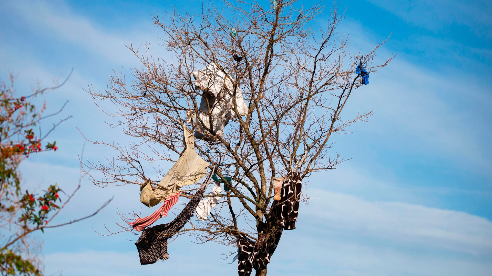 Müll hängt in einem Baum vor dem Haus. Viele Bewohnende werfen ihren Müll aus den Fenstern und von den Balkonen.