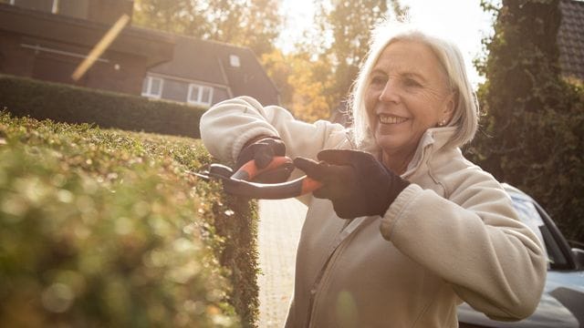 Nach dem Bundesnaturschutzgesetz ist es von Anfang Oktober bis Ende Februar erlaubt, Hecken, lebende Zäune und andere Gehölze stärker zu schneiden.