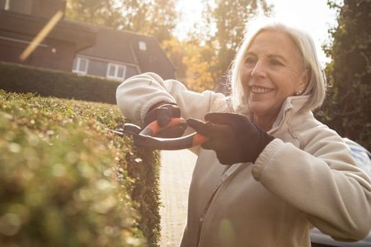 Nach dem Bundesnaturschutzgesetz ist es von Anfang Oktober bis Ende Februar erlaubt, Hecken, lebende Zäune und andere Gehölze stärker zu schneiden.