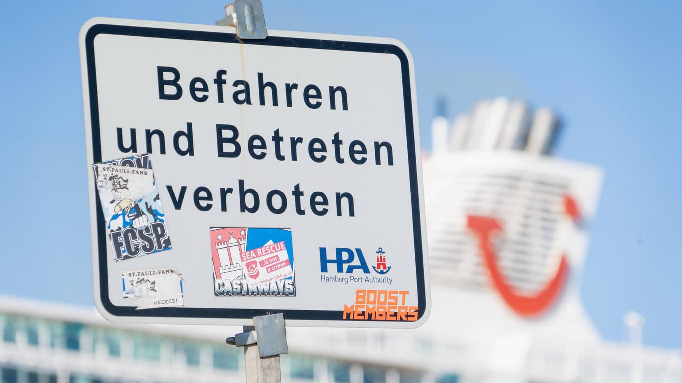 Kreuzfahrtschiff MeinSchiff3 der Reederei TUI Cruises im Hamburger Hafen Fährterminal Steinwerder (Symbolbild): Seit Jahren wird die Fläche am Hafen nicht genutzt.