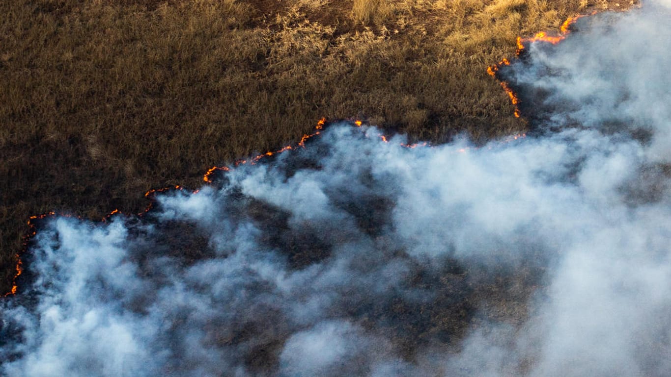 Brand in Argentinien: Wegen anhaltender Trockenheit kommt es in vielen Teilen der Welt häufiger zu Bränden.