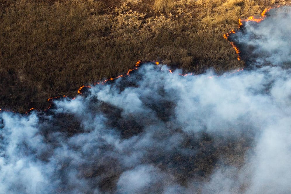 Brand in Argentinien: Wegen anhaltender Trockenheit kommt es in vielen Teilen der Welt häufiger zu Bränden.