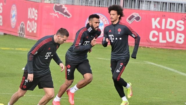 Auch Eric Maxim Choupo-Moting (M.