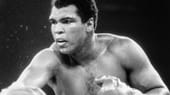 Muhammad Ali: Der weltberühmte Boxer im Jahr 1977. Er ist der einzige Sportler seiner Branche, der drei Mal in seiner Karriere den Titel des unumstrittenen Weltmeisters gewinnen konnte. 1984 wurde bei Ali das Parkinson-Syndrom diagnostiziert. Dennoch versuchte der Boxer am öffentlichen Leben teilzuhaben, er starb 2016 in Folge eines septischen Schocks.