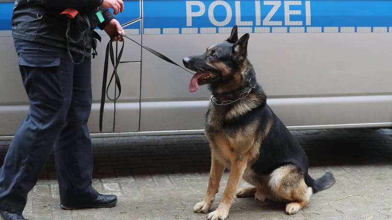Polizist mit Diensthund (Symbolbild): Auch ein Spürhund habe die Leiche der Frau nicht aufspüren können.