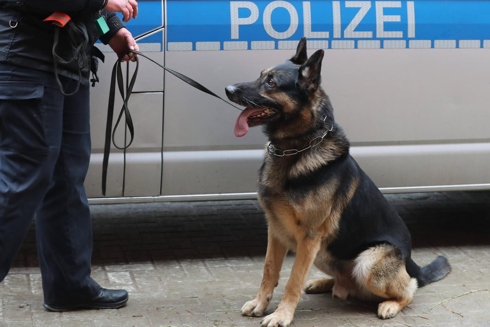 Polizist mit Diensthund (Symbolbild): Auch ein Spürhund habe die Leiche der Frau nicht aufspüren können.