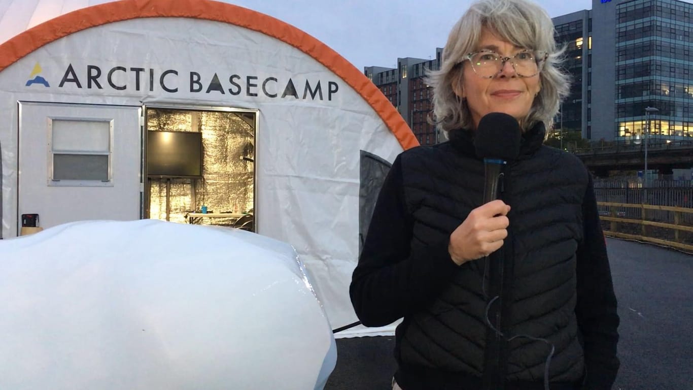Gail Whiteman steht vor einem Block aus Gletschereis: Sie hat die Arctic-Basecamp-Initiative gegründet, um das Ausmaß der Klimakrise in der Arktis dahin zu bringen, wo die Reichen und Mächtigen sich treffen.