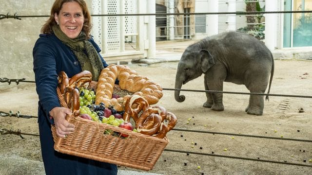 Elefant "Otto" feiert ersten Geburtstag Elefant "Otto" feiert ersten Geburtstag