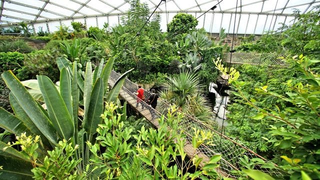 Besucher im "Gondwanaland": Die Halle ist wieder geöffnet.