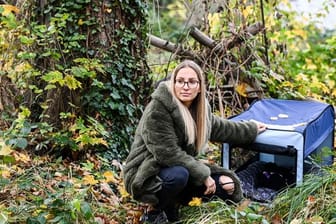 Frauchen Friederike Brandts sucht nach ihrem vermissten Hund Oskar: Inzwischen helfen zahlreiche Menschen bei der Suche nach dem geliebten Tier.