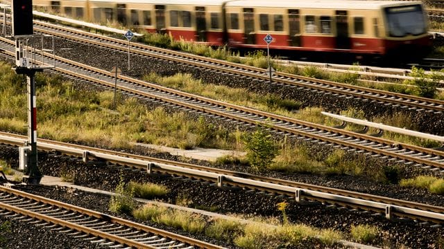 Eine S-Bahn fährt von dem S-Bahnhof Ostkreuz (Symbolbild): Der Mann soll versucht haben, einen 61-Jährigen aus einer fahrenden S-Bahn zu schieben. Eine S-Bahn fährt von dem S-Bahnhof Ostkreuz (Symbolbild): Der Mann soll versucht haben, einen 61-Jährigen aus einer fahrenden S-Bahn zu schieben.