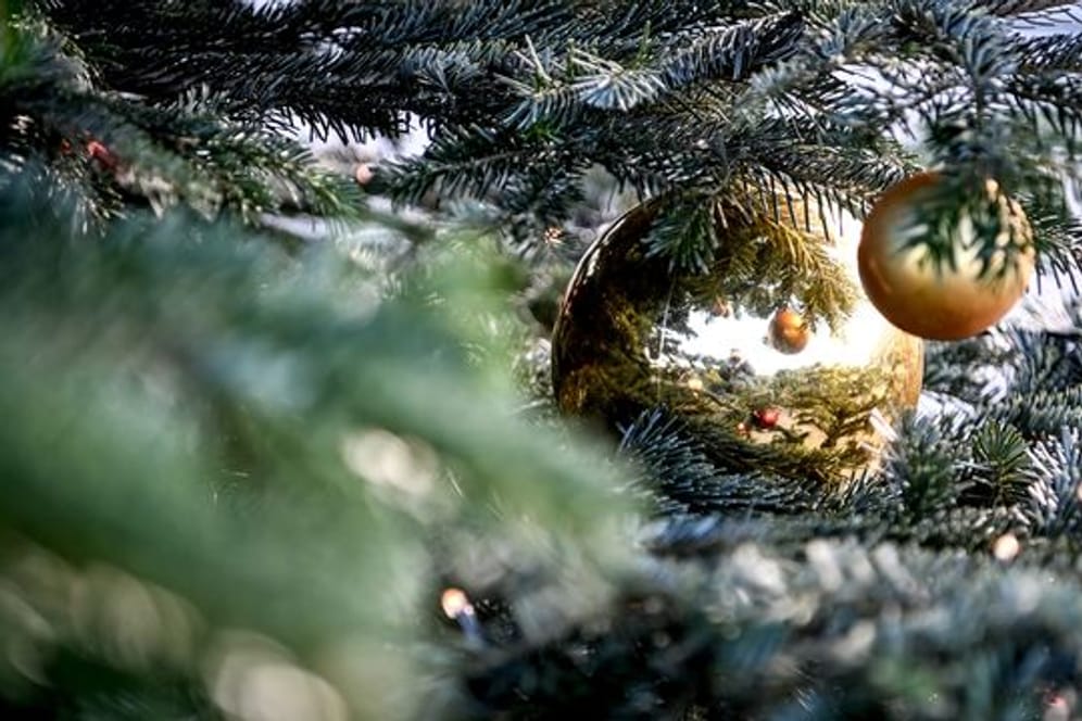 Ein Weihnachtsbaum ist mit Kugeln und einer Lichterkette geschmückt.