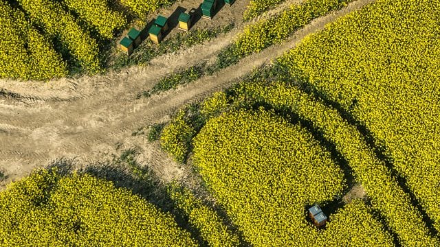 Landwirtschaft in Nordrhein-Westfalen