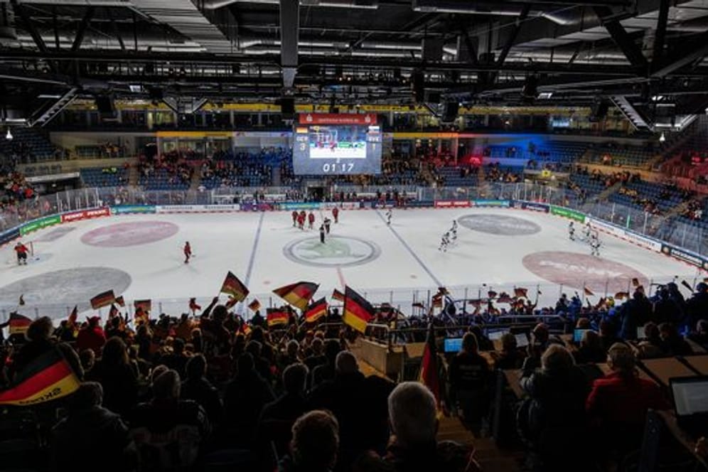 Zuschauer beim Spiel Deutschland gegen Slowakei
